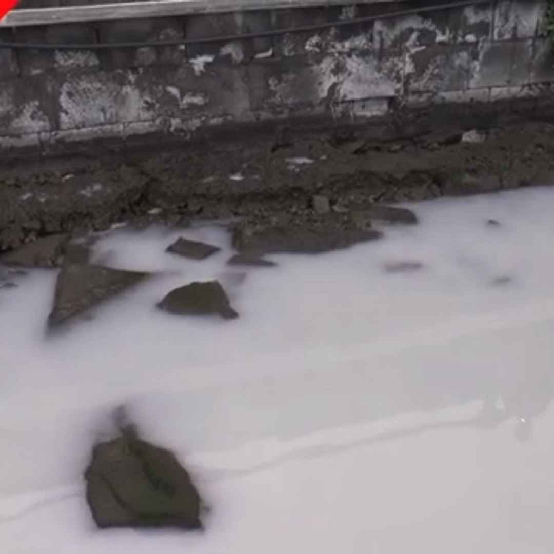 Il Mare di Napoli Completamente Bianco: le immagini assurde del disastro ambientale - VIDEO SHOCK