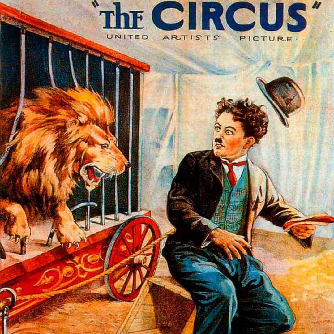 governo conte  animali  circo