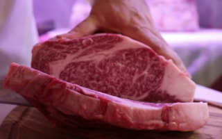 Gastronomia: carne  kobe  video  cucina  ristoranti