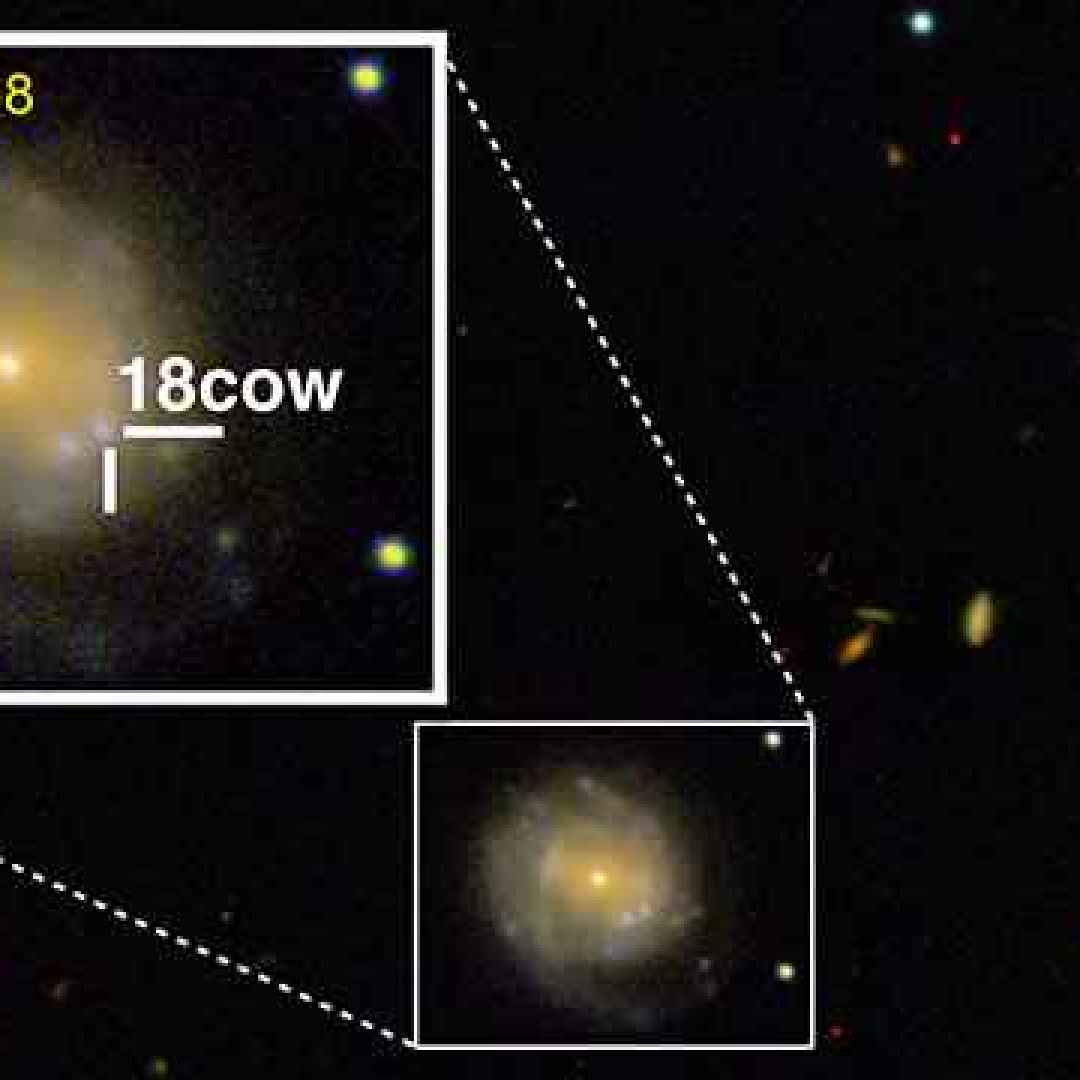 supernova  stella di neutroni  buco nero