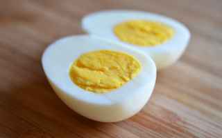 Alimentazione: vegani  vegetariani  uova  proteine