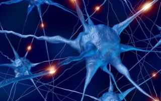 Medicina: epilessia  neurologia