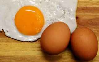 Alimentazione: uova fanno bene  uova  ricette con uova