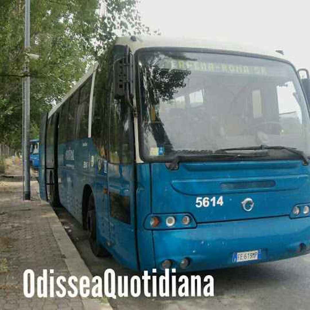 cotral  roma  trasporto pubblico