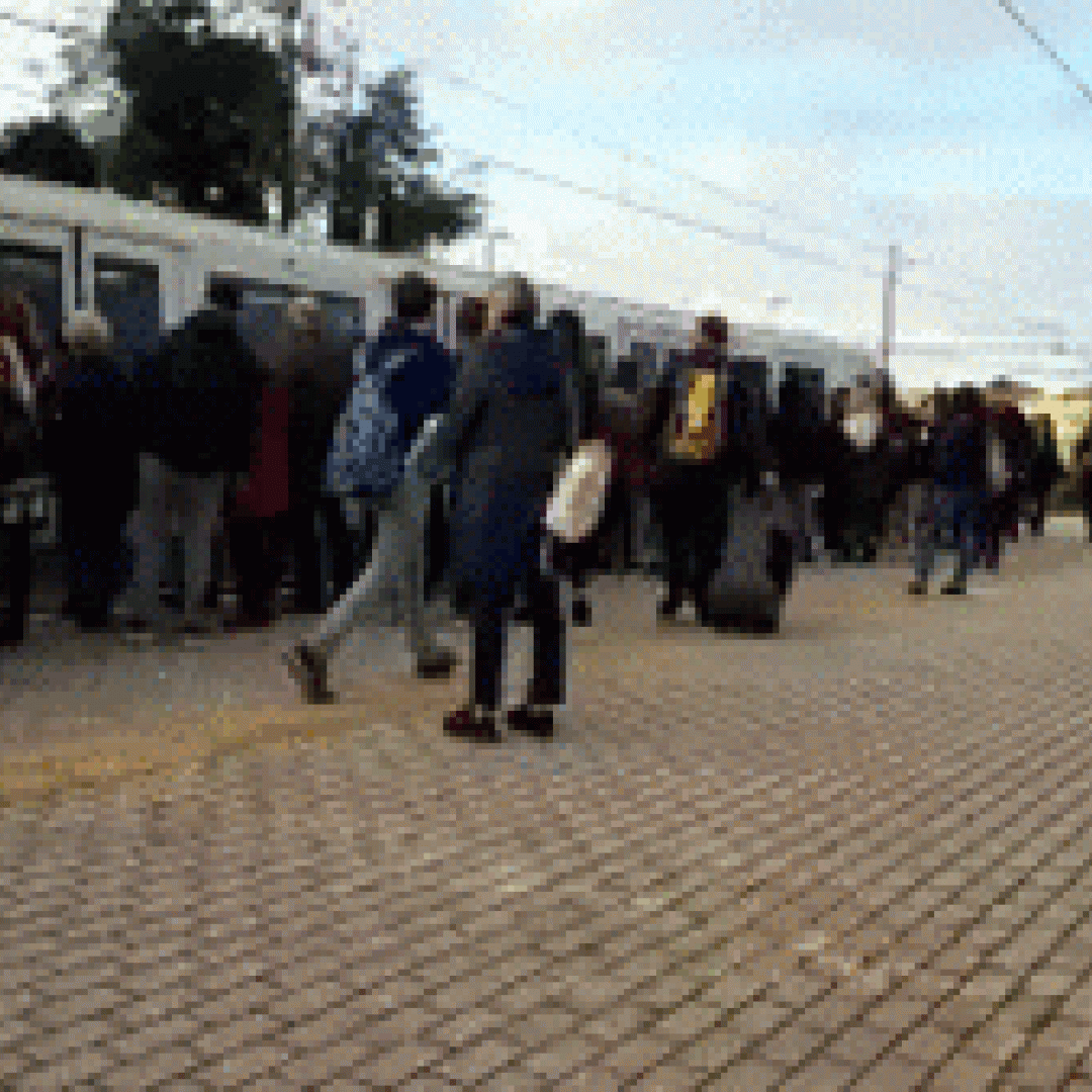 roma-lido  trasporto pubblico