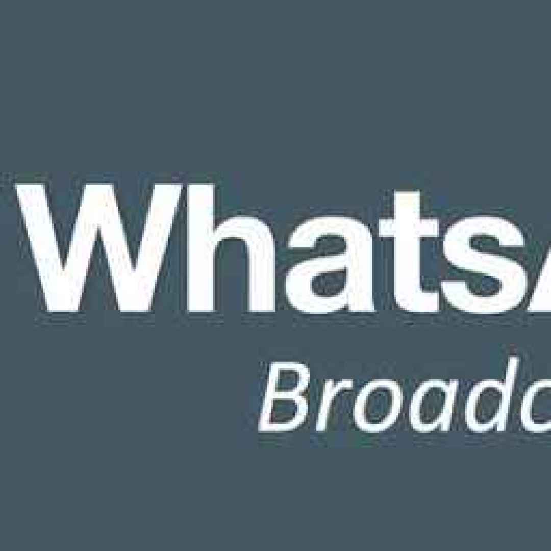 whatsapp  broadcast