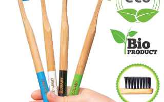 spazzolino  denti  ecologico  bamboo