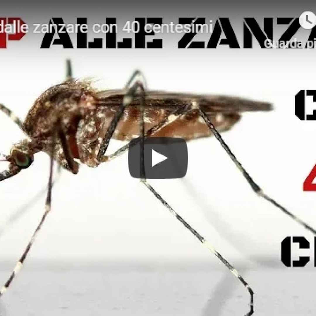 Liberarsi dalle zanzare con 40 centesimi - VIDEO