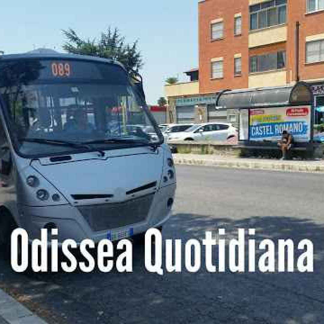 atac  roma  trasporto pubblico  flambus