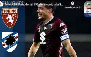 https://diggita.com/modules/auto_thumb/2019/04/04/1637941_torino-sampdoria-gol-highlights_thumb.jpg