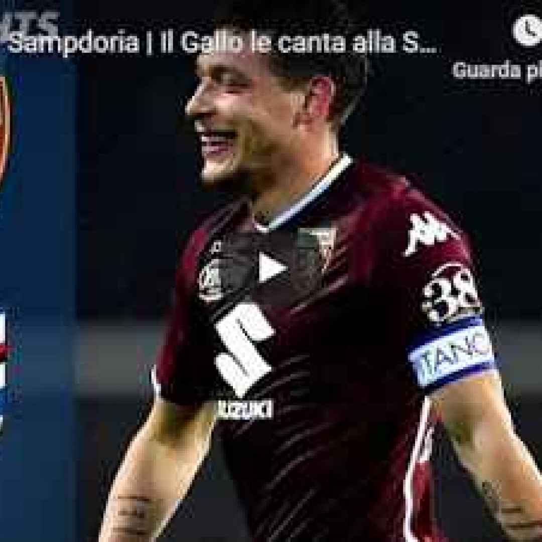 torino sampdoria video gol calcio