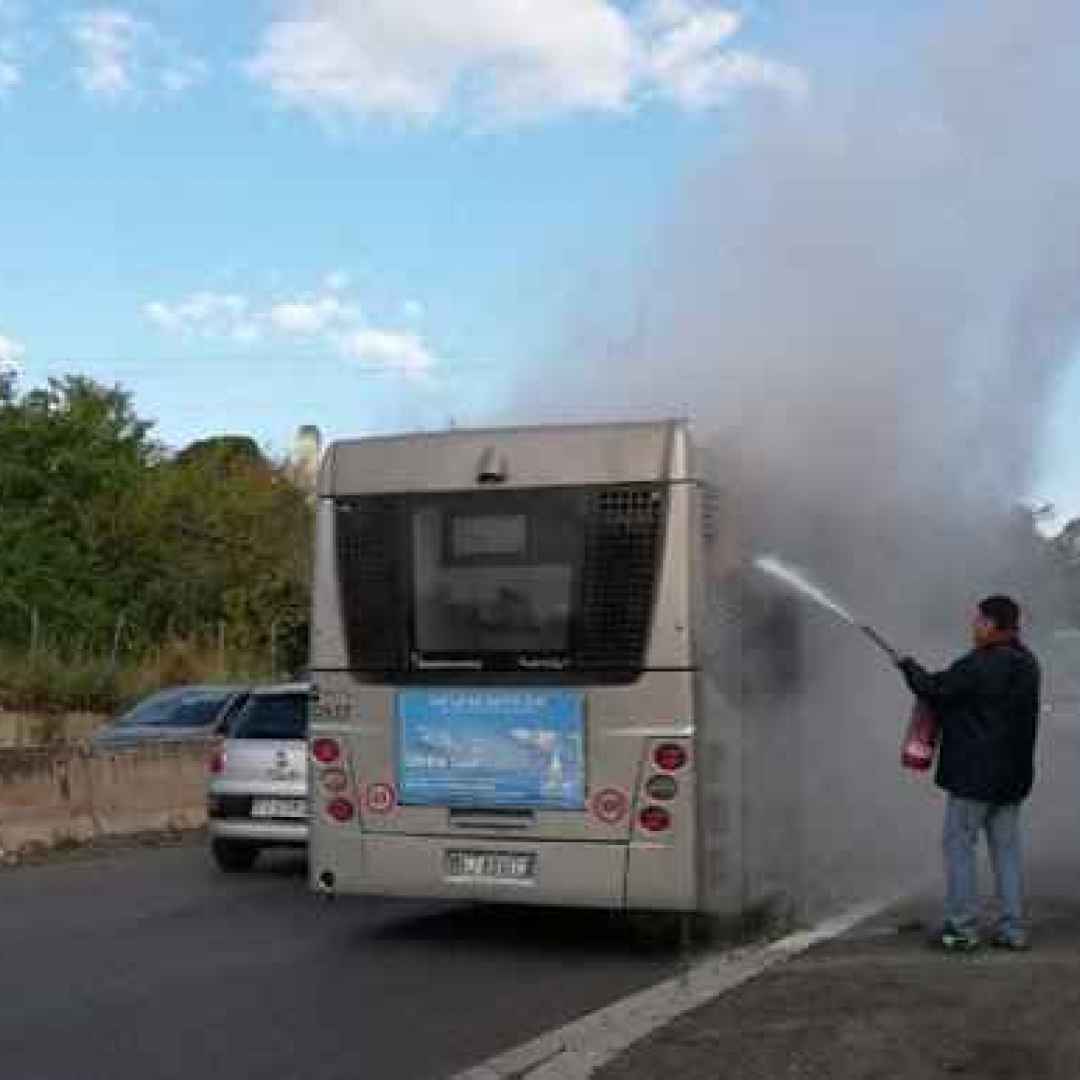 roma  trasporto pubblico  atac  romatpl