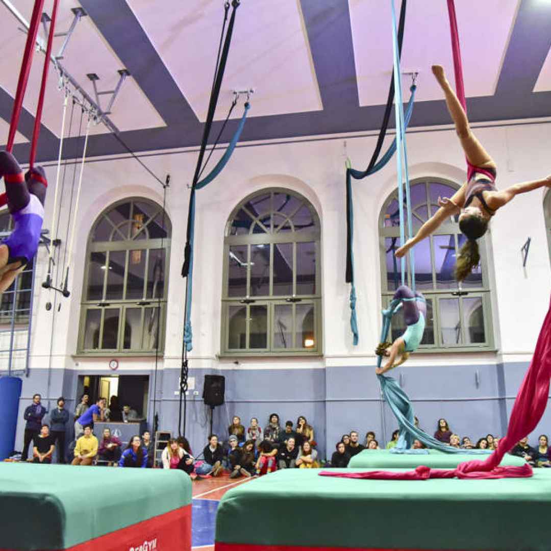 Festa dell’Acrobatica il 10-11-12 maggio 2019 alla Reale Società Ginnastica e FLIC Scuola di Circo di Torino