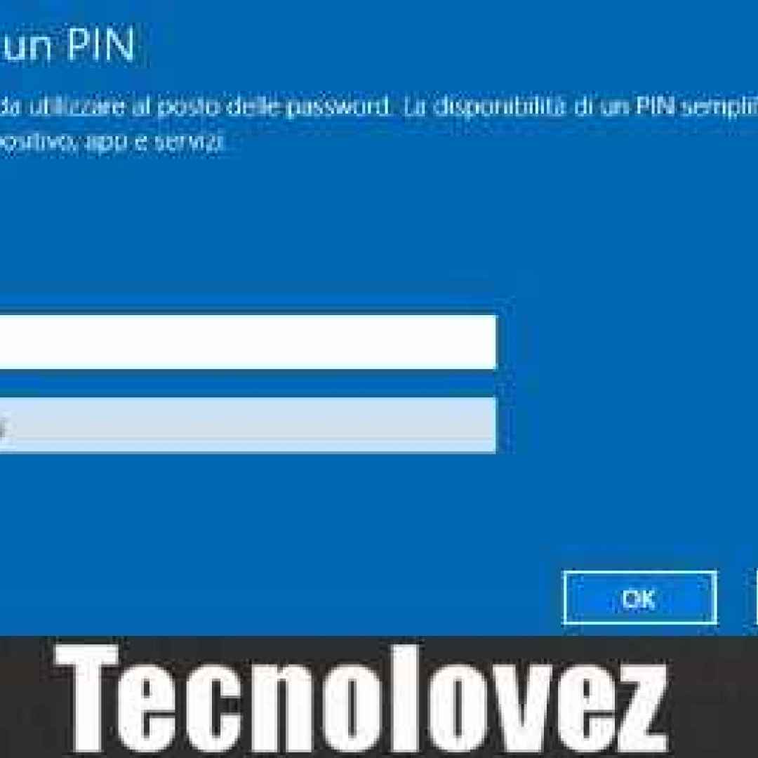 windows 10 pin password