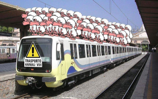 roma  trasporto pubblico  roma-lido