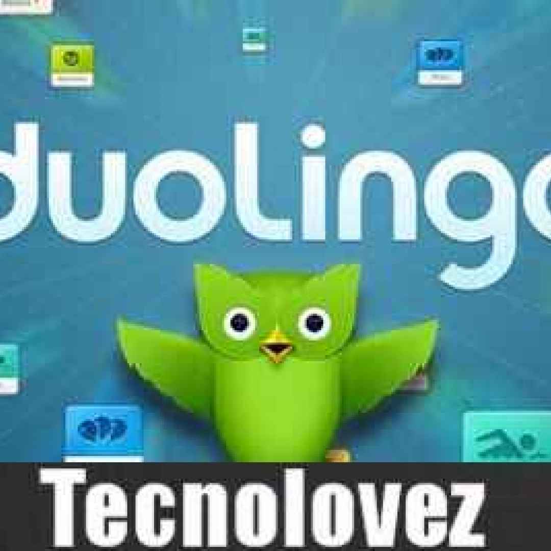 duolingo app android