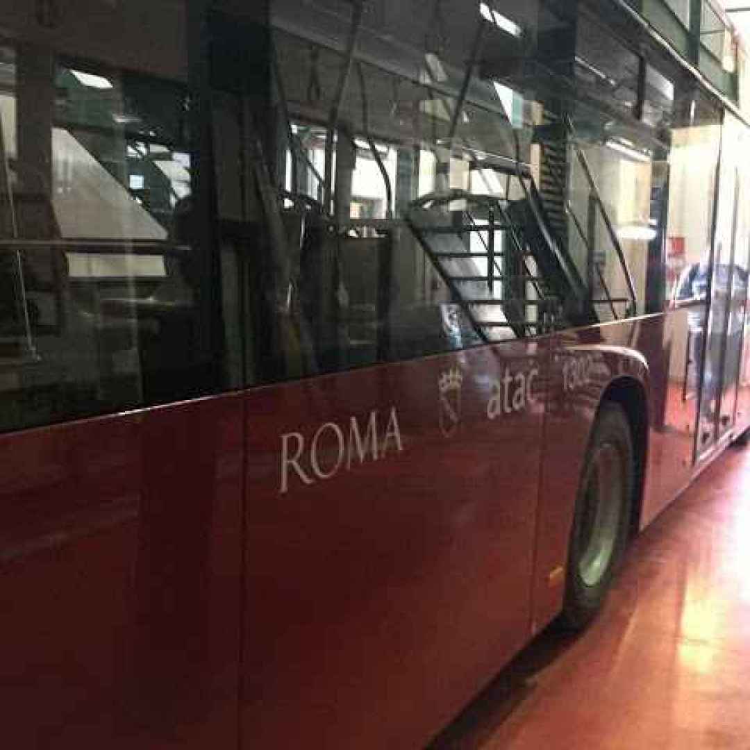 roma  trasporto pubblico  autobus