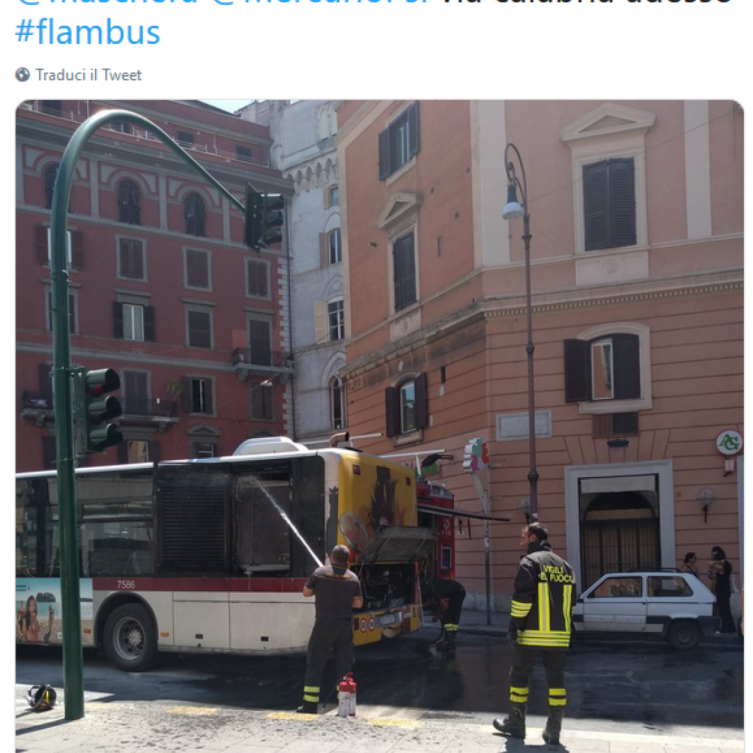 roma  trasporto pubblico  flambus