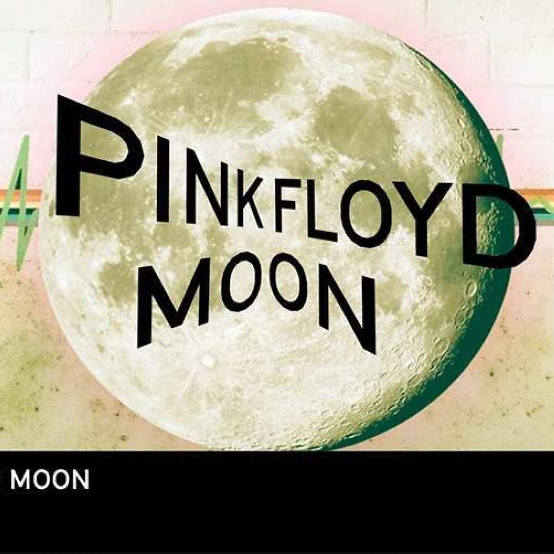 Al Riverock Festival di Assisi danza e musica con Shine Pink Floyd Moon il prossimo 24 luglio