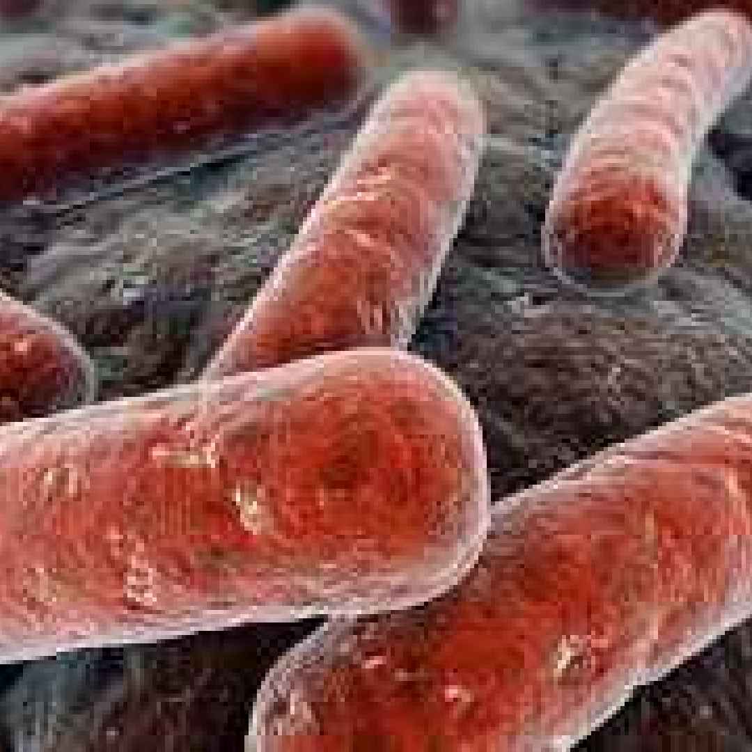 Tubercolosi: fa ancora tanti morti ma un vaccino potrebbe salvarci