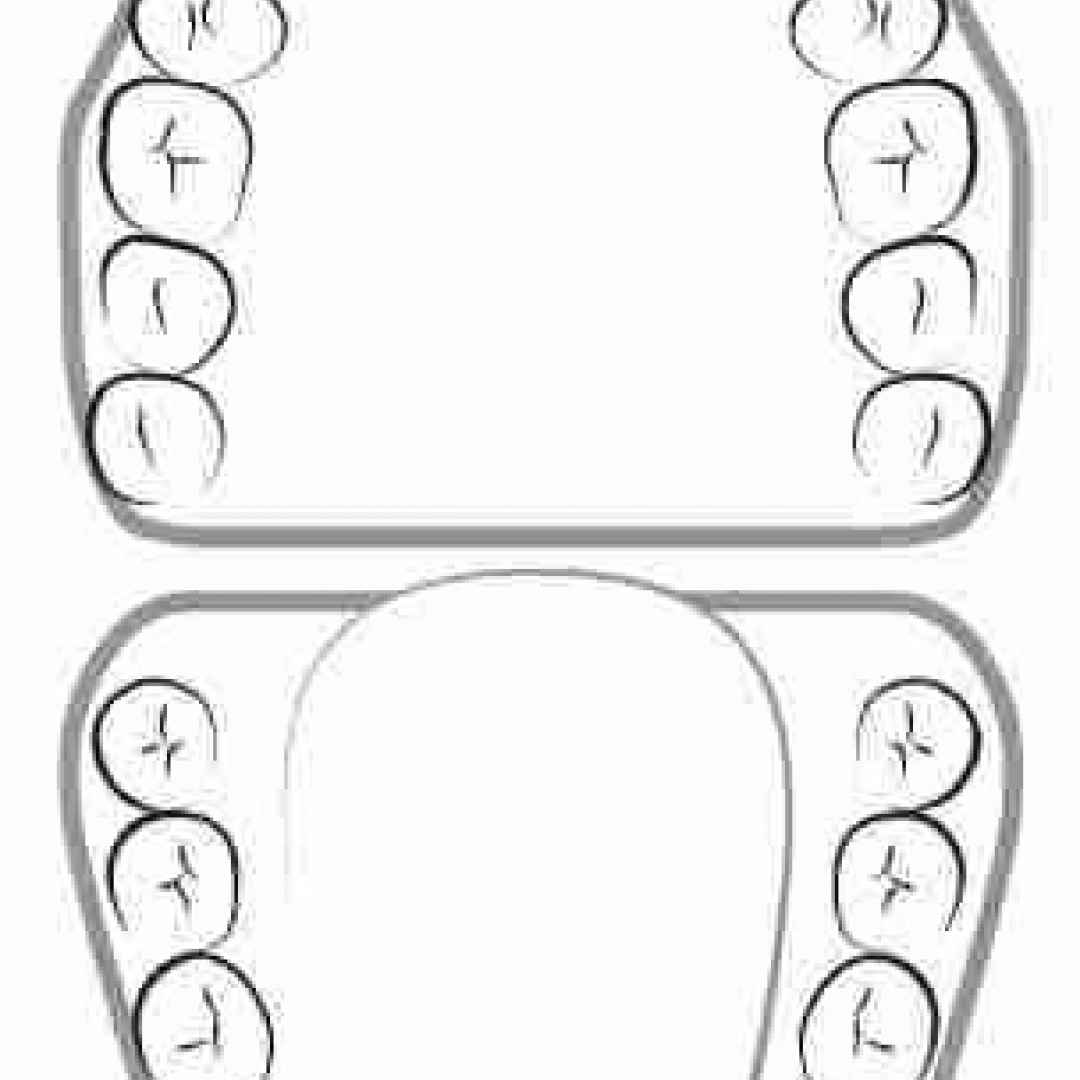Le arcate dentali e la dentizione