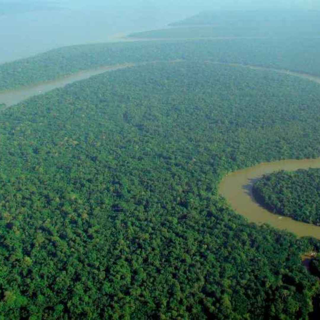 amazzonia  inquinamento  brasile