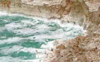 mar morto  israele  giordania  mare
