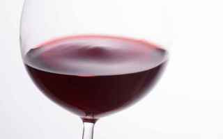 Alimentazione: vino rosso  intestino  microbioma