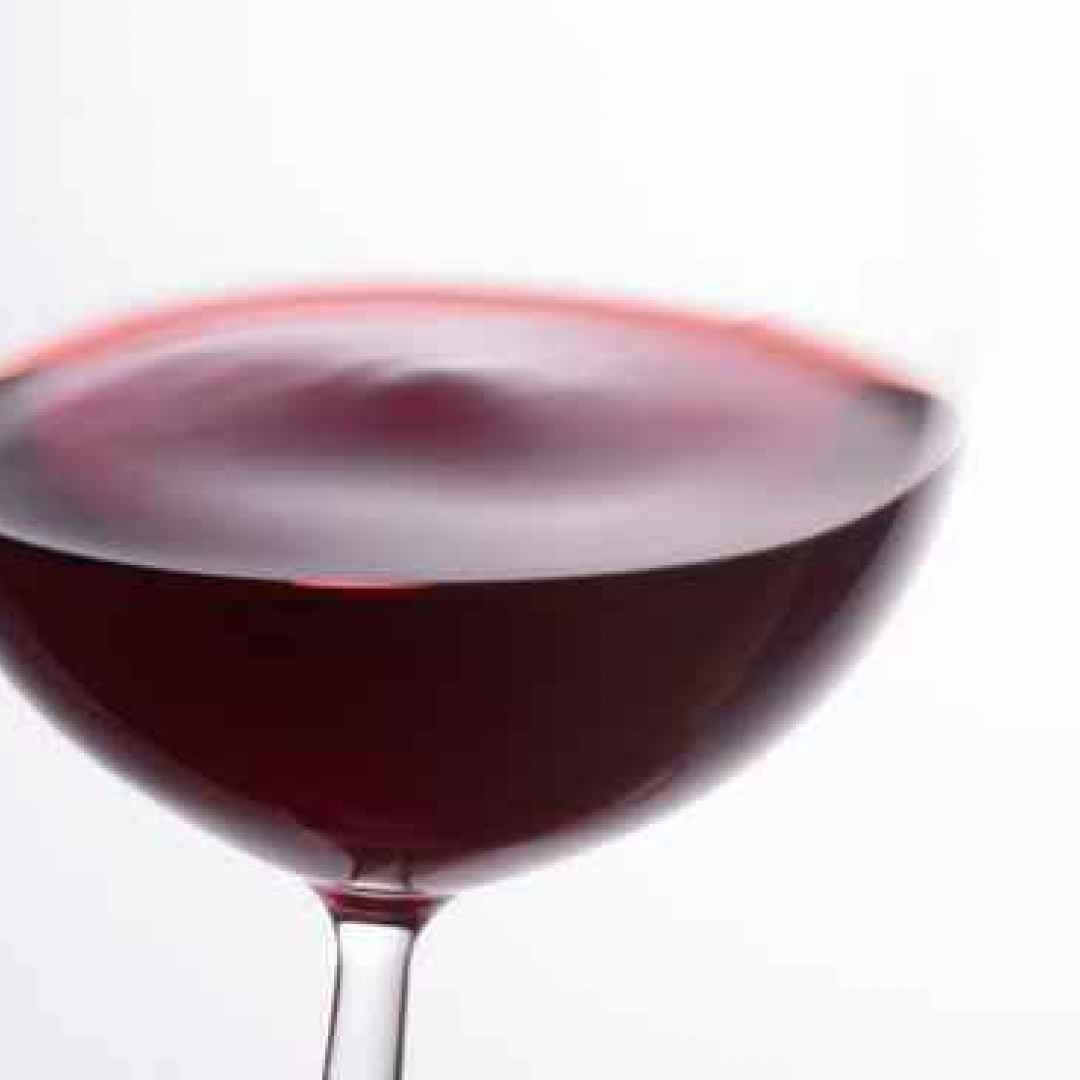 vino rosso  intestino  microbioma