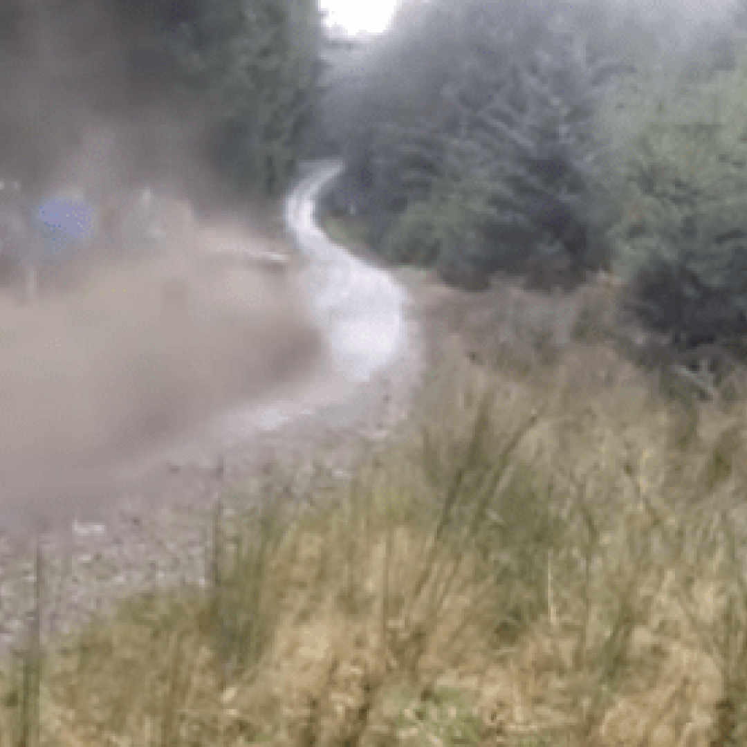 WRC, la PS 5 del Rally del Galles cancellata per pubblico non in sicurezza, il video