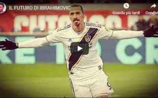 Calciomercato: ibrahimovic video stefano borghi calcio