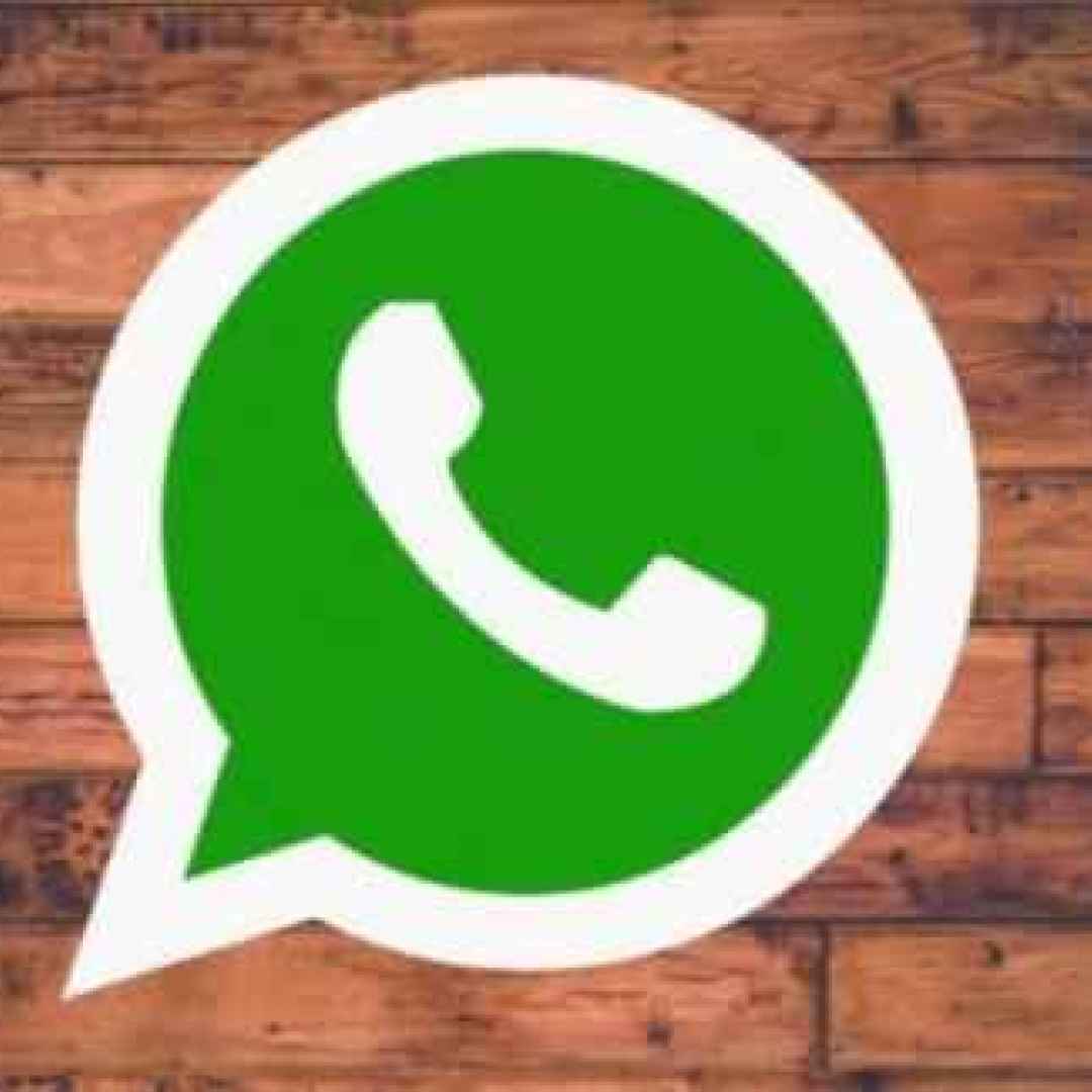 WhatsApp beta. Corretto bug dei messaggi audio e cambiata icona della fotocamera