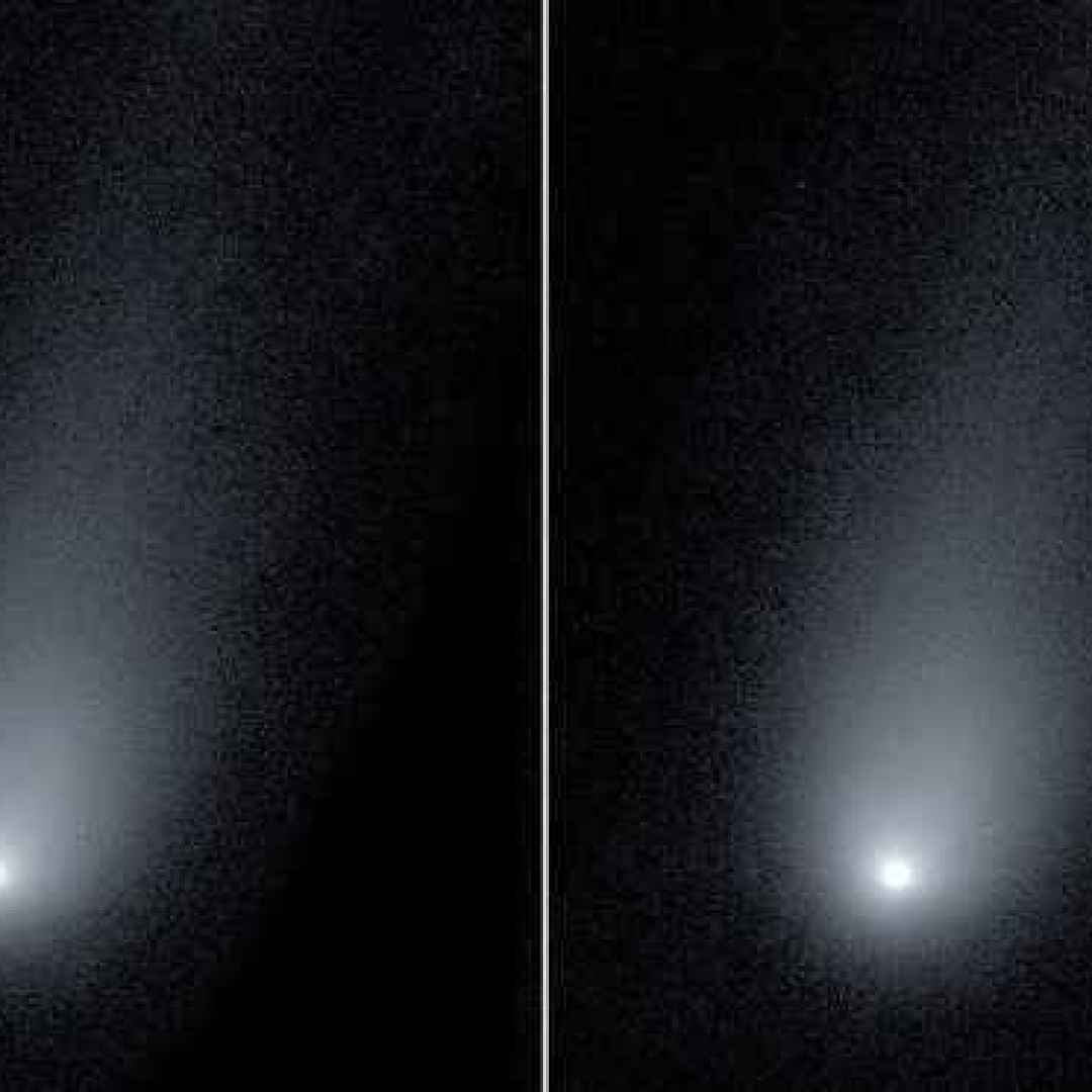 cometa interstellare