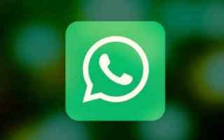 WhatsApp: whtasapp