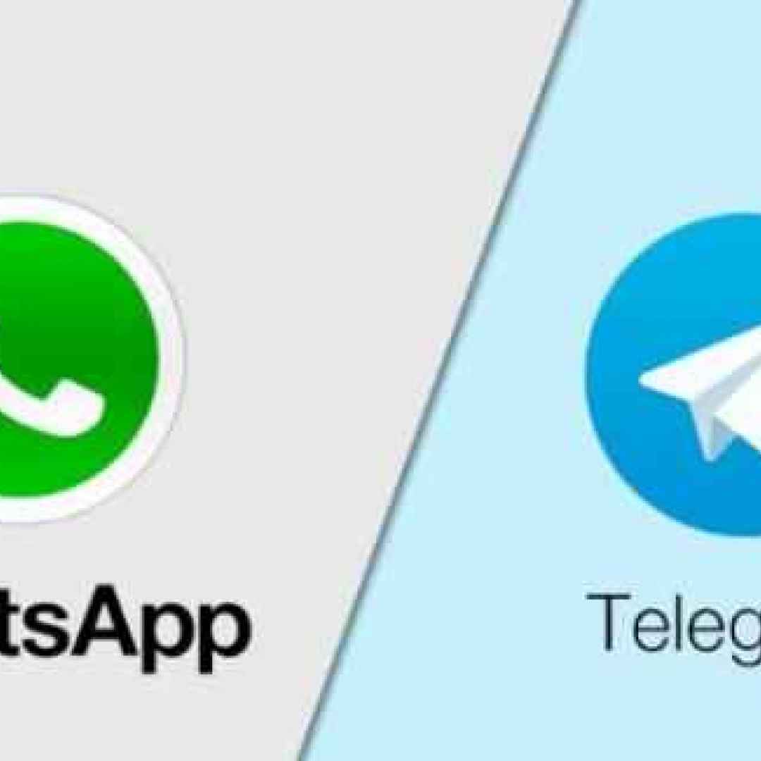Novità! WhatsApp programma le attività con Any.do, Telegram innova con una beta