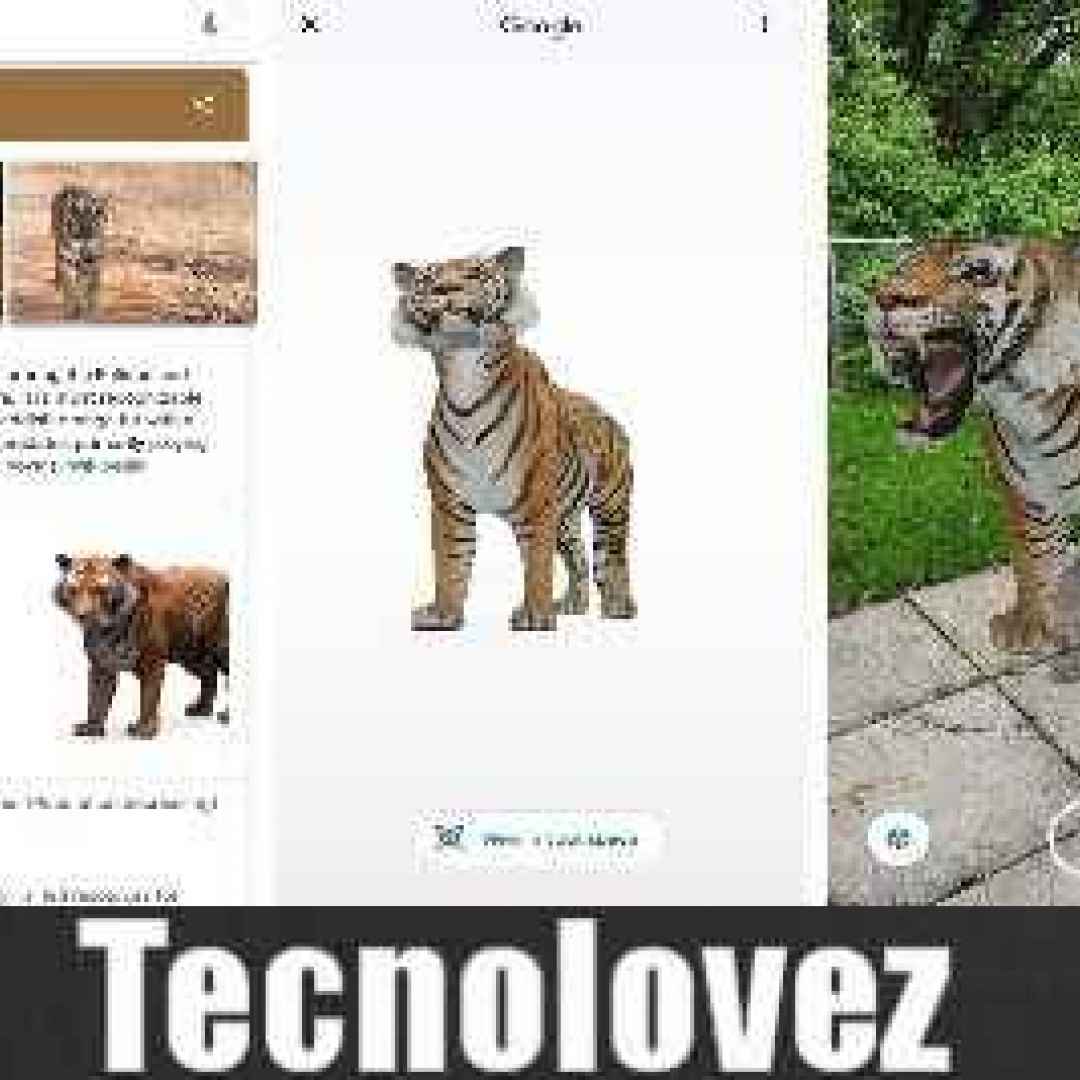 animali realtà aumentata google