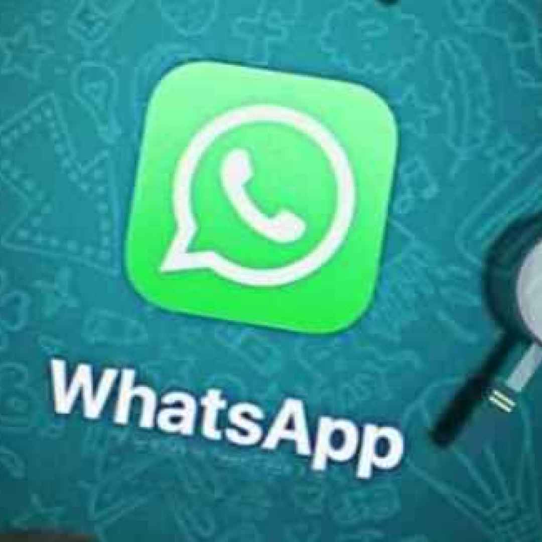 WhatsApp. Ufficiale il bot di Vueling e una nuova beta for Business