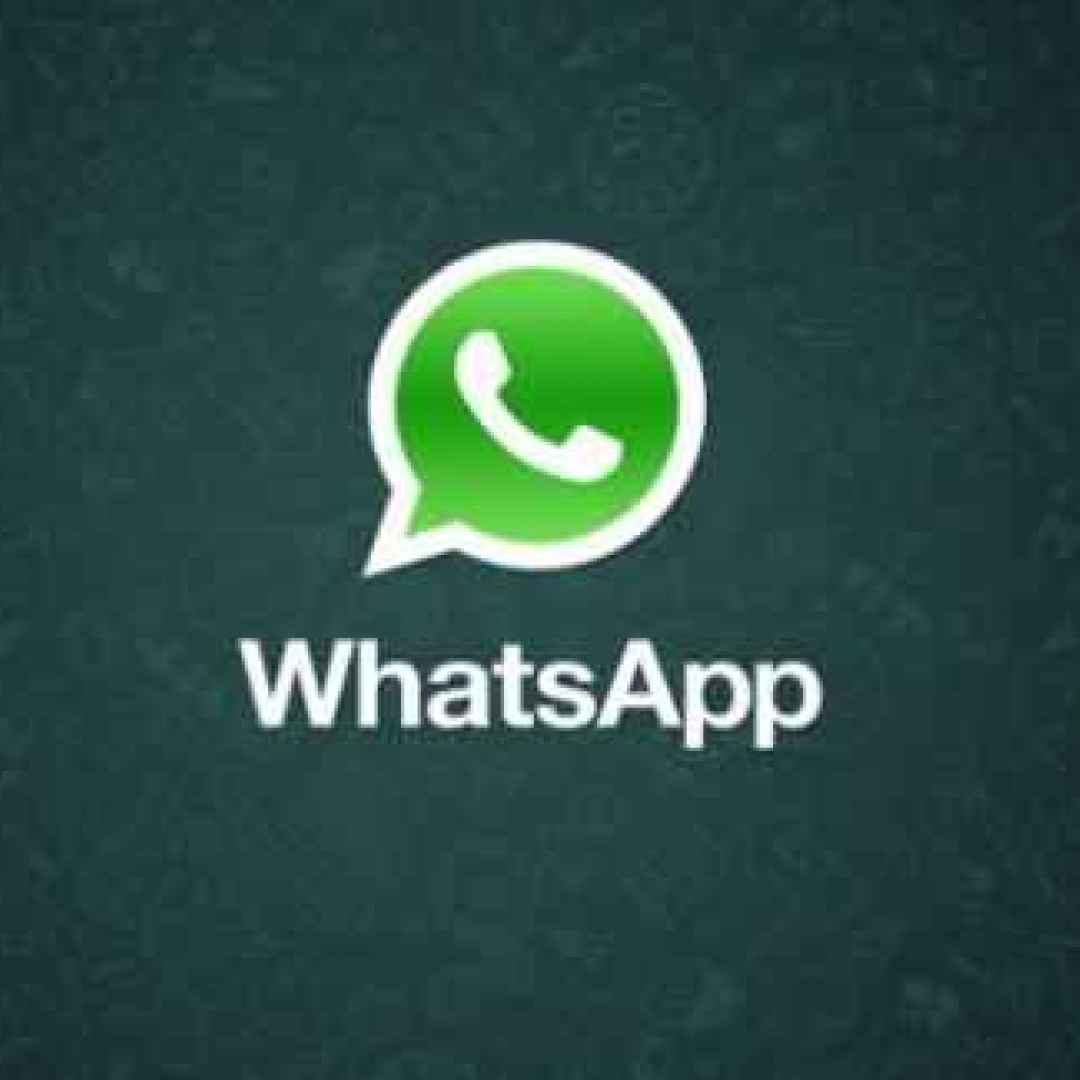 WhatsApp. Su iPhone arriva il supporto a iOS 13, su Android l’hack per la dark mode