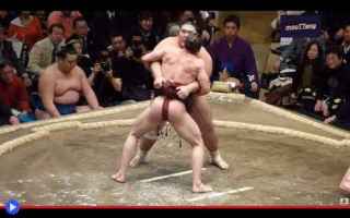 Sport: lotta  sumo  giappone  sport