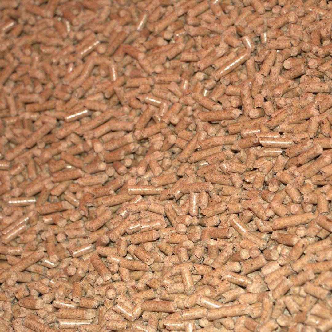 pellet  riscaldamento  biomassa