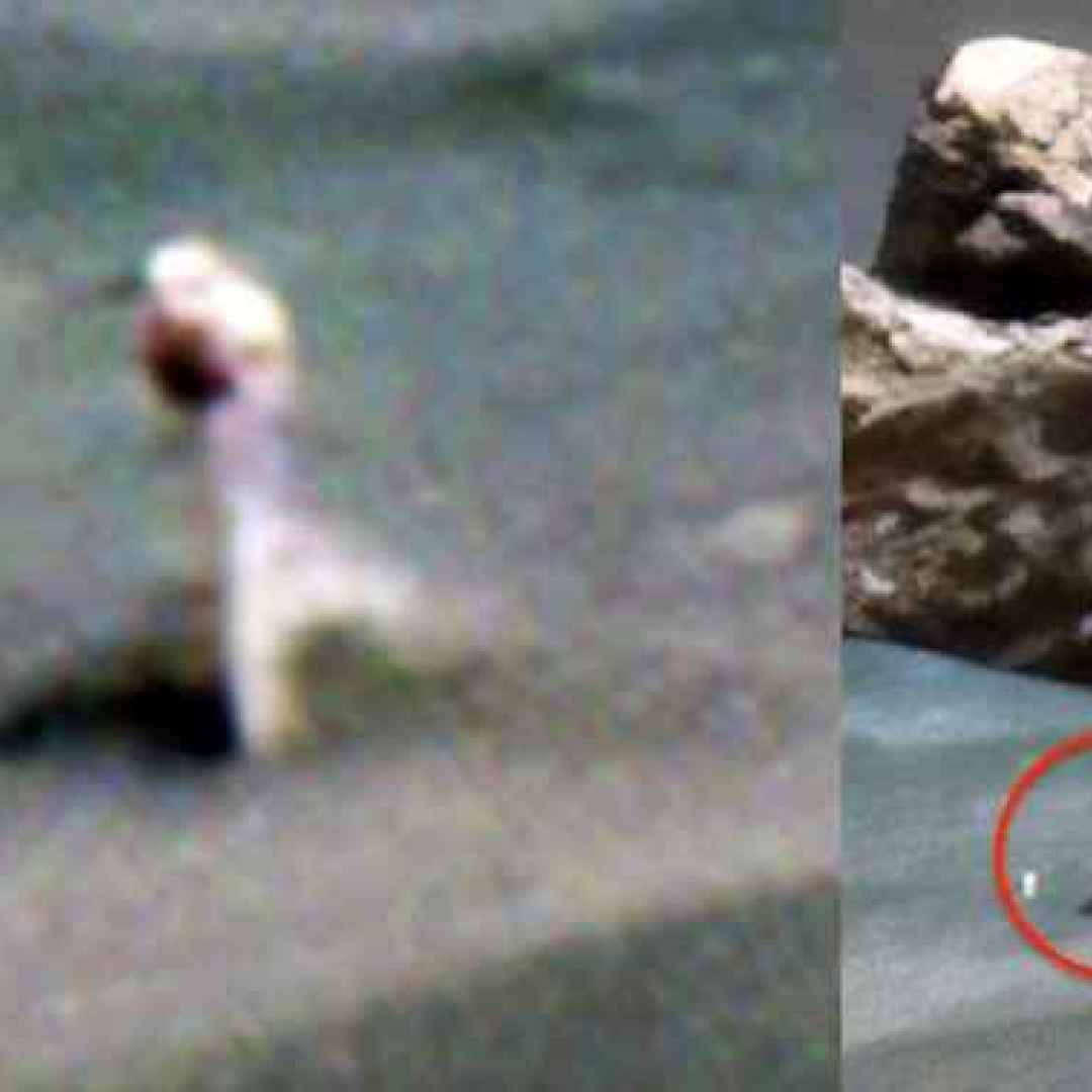 Несколько загадочных. Снимки Марса Скотт Уоринг. Тайваньский уфолог Скотт Уоринг. Марс загадочные снимки. Странные объекты.
