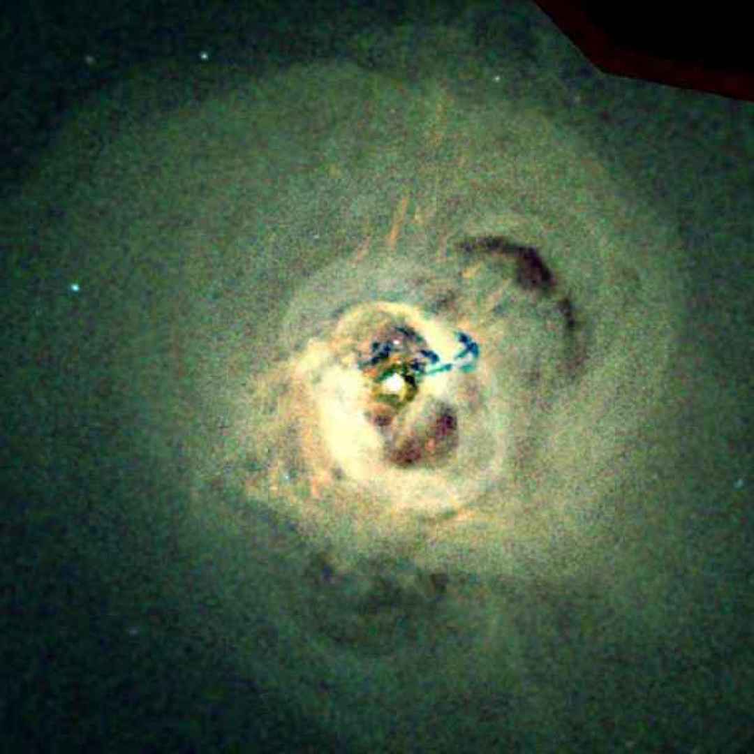 quasar  buchi neri supermassicci  alma