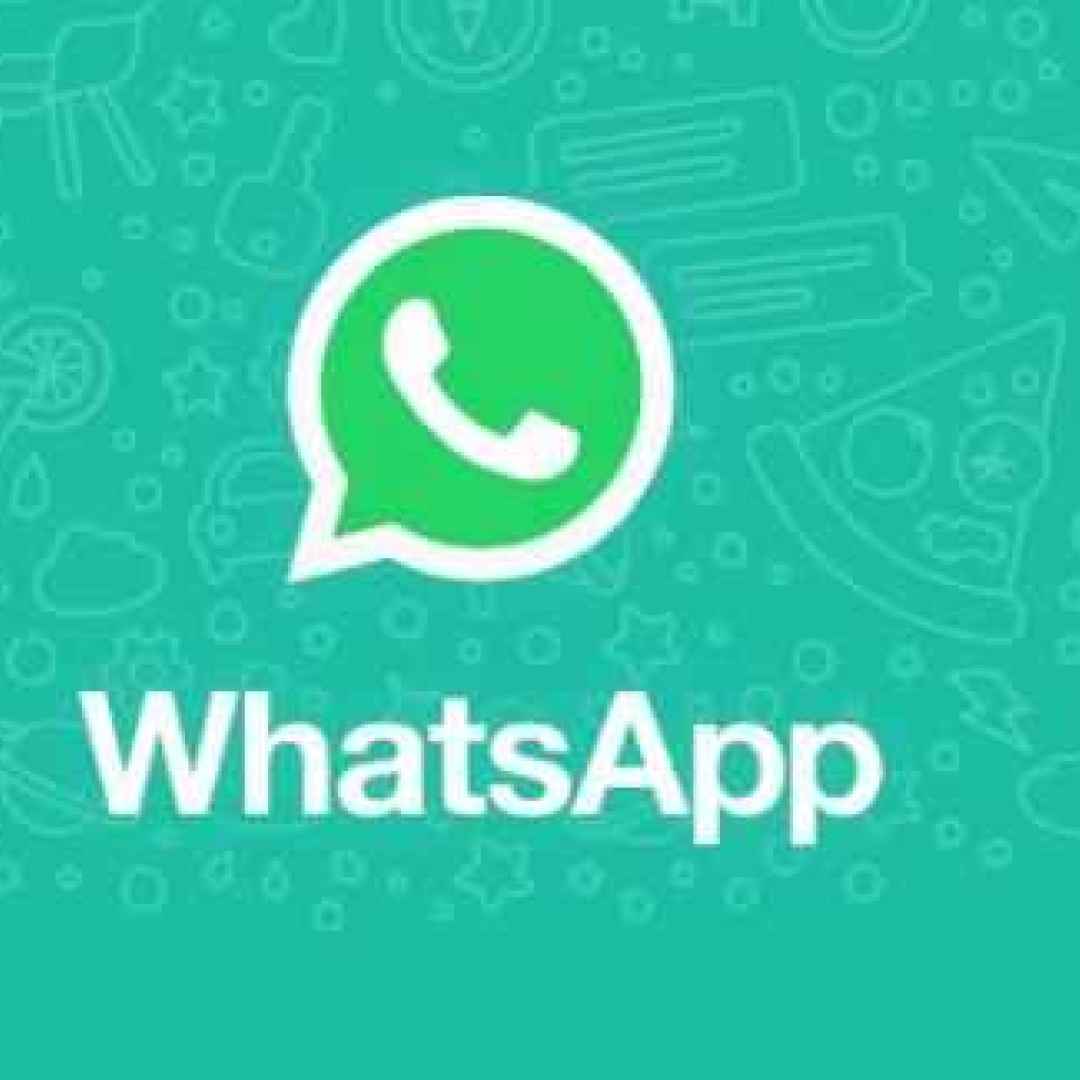 WhatsApp. Attenzione alle beta con bug a ripetizione, nuovi problemi dall’India