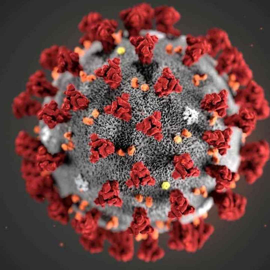 Coronavirus, il falso tampone e le altre truffe: gli «sciacalli» del virus