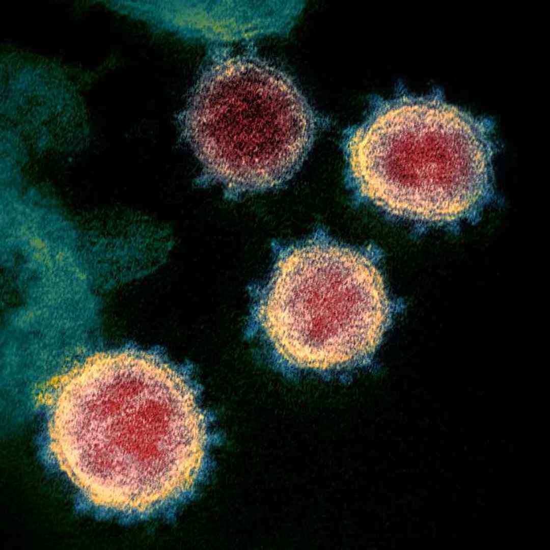 Romanzo del 1981 previde il Coronavirus: le tante similitudini con quanto sta accadendo
