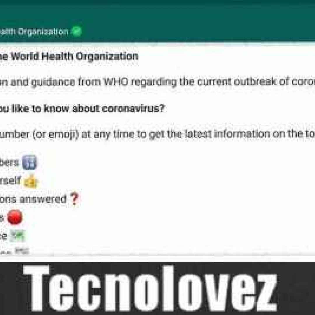 whatsapp bot fake news coronavirus