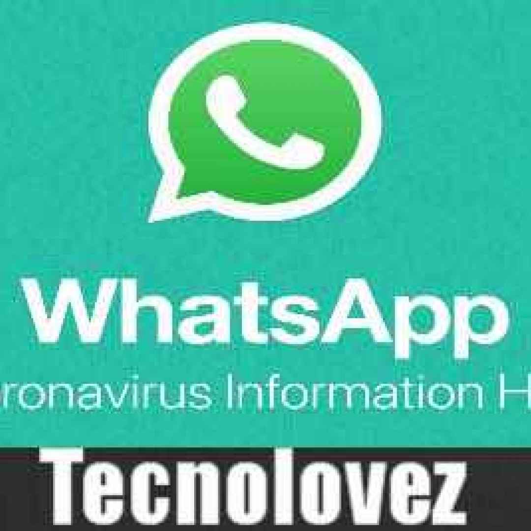 whatsapp coronavirus information hub