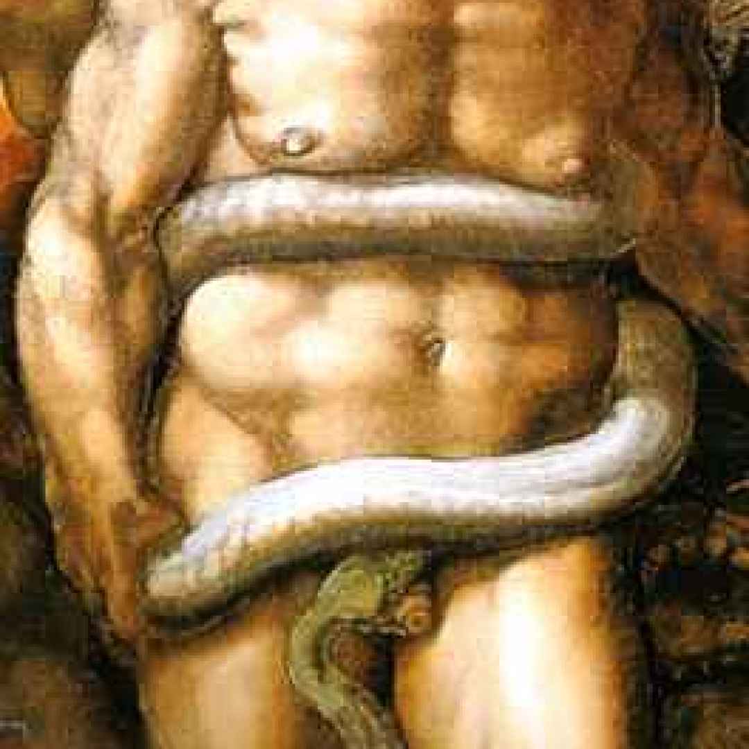 Michelangelo e Messer Biagio di Cesena (aneddoto)