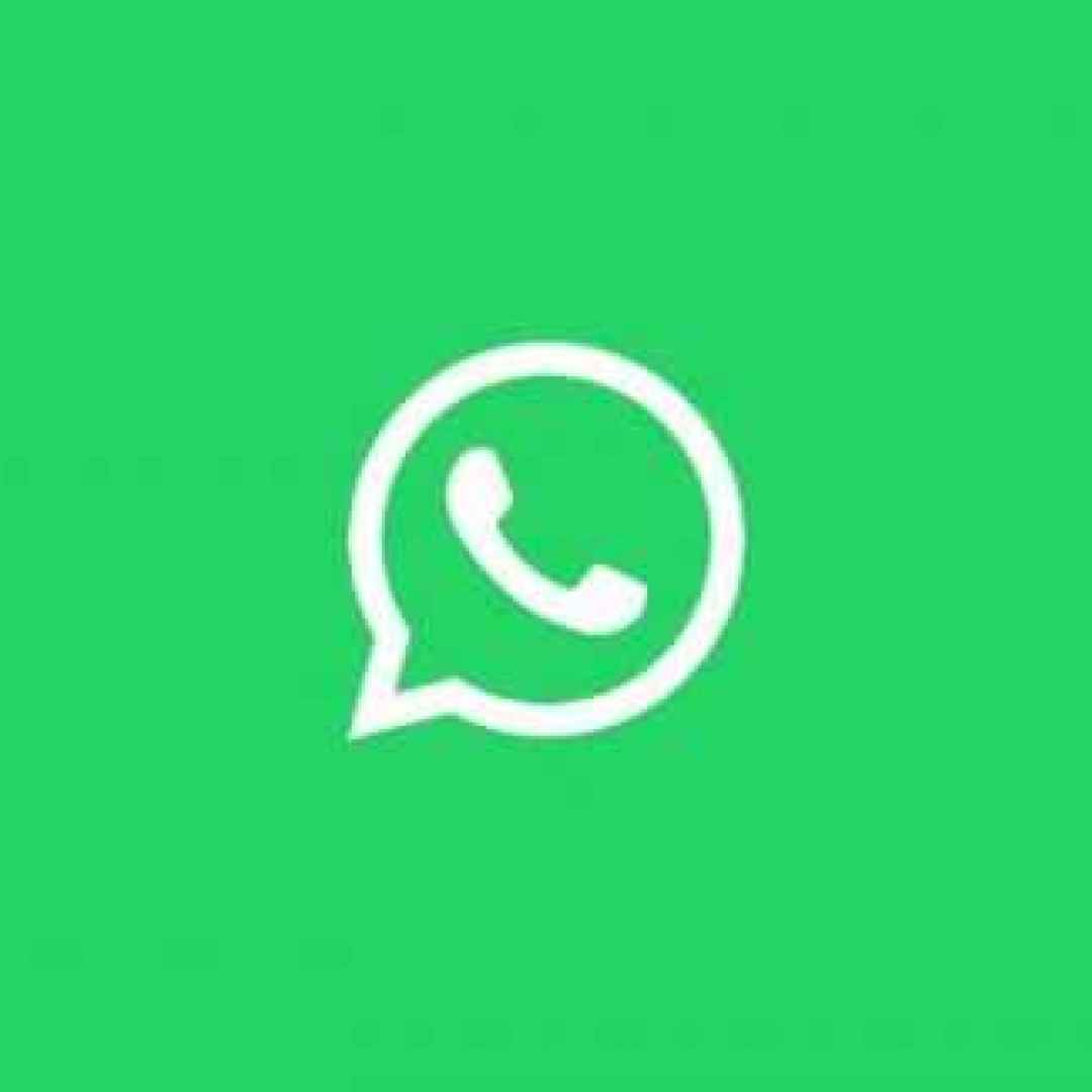 WhatsApp. Semplificate le chiamate video ed audio nelle chat di gruppo
