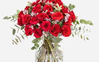 https://diggita.com/modules/auto_thumb/2020/04/13/1653012_radiant-red-roses-2c82b074-ca45-41e0-b352-d2346456c137_thumb.jpg